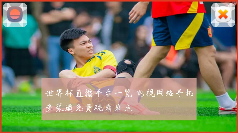 世界杯直播平台一览 电视网络手机多渠道免费观看看点