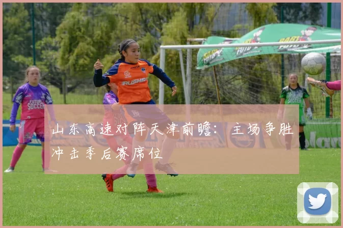 山东高速对阵天津前瞻：主场争胜冲击季后赛席位